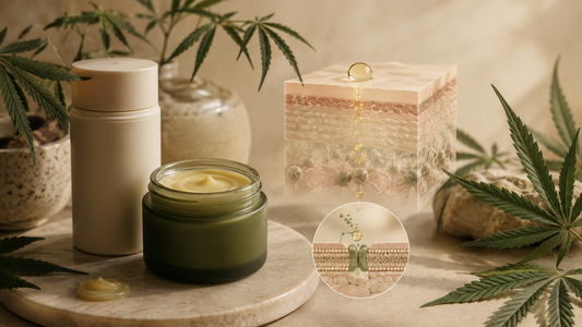 Cannabis Topicals: CBD, Creams at Balms